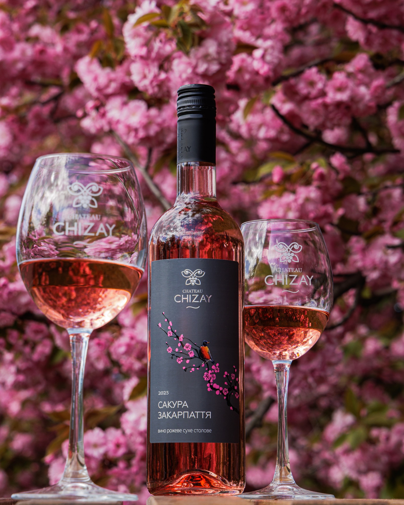 Erianto Chai　さま Купити рожеве сухе вино Сакура Закарпаття Chateau Chizay