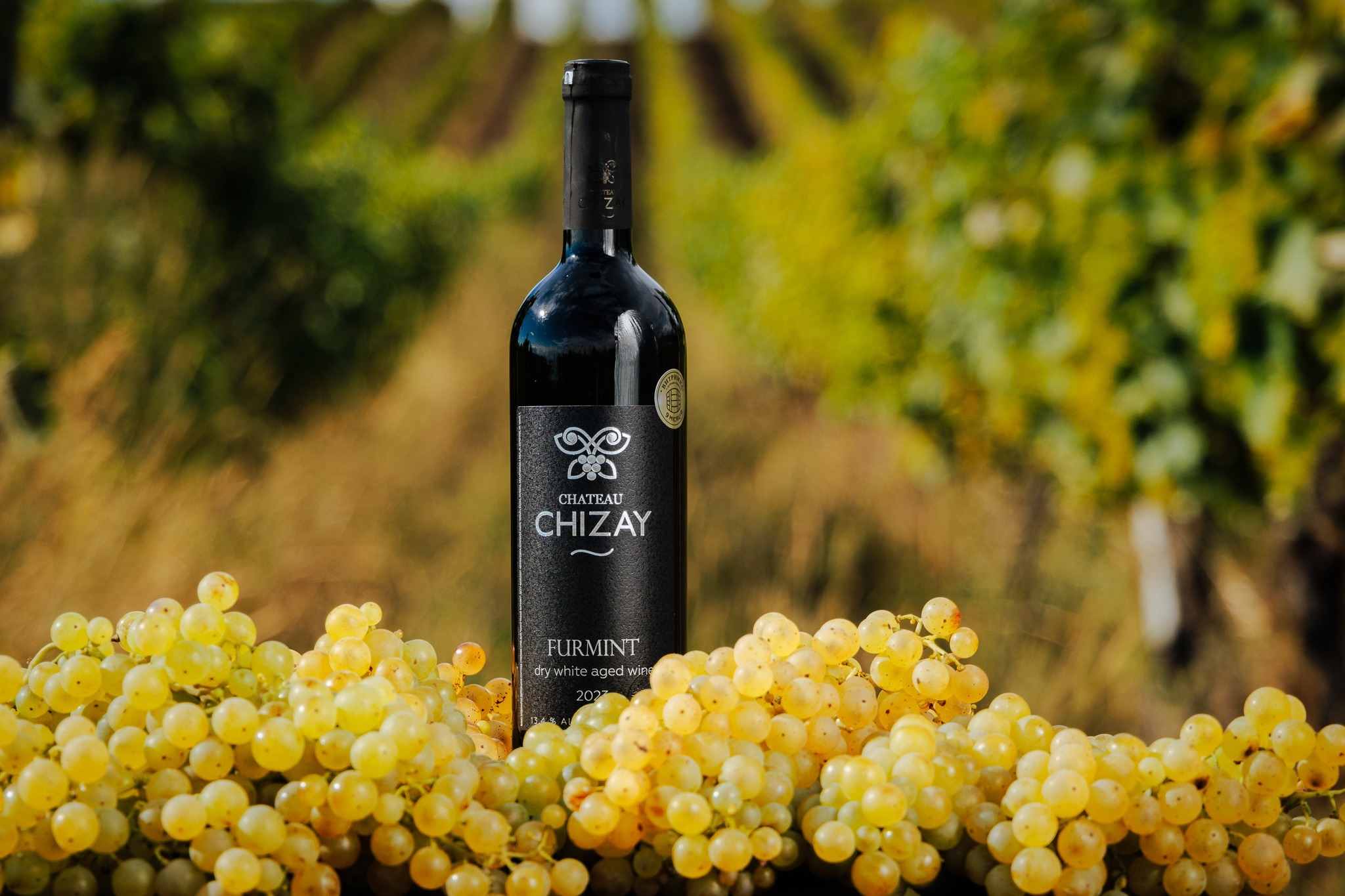 Унікальне витримане вино Furmint – замовити онлайн