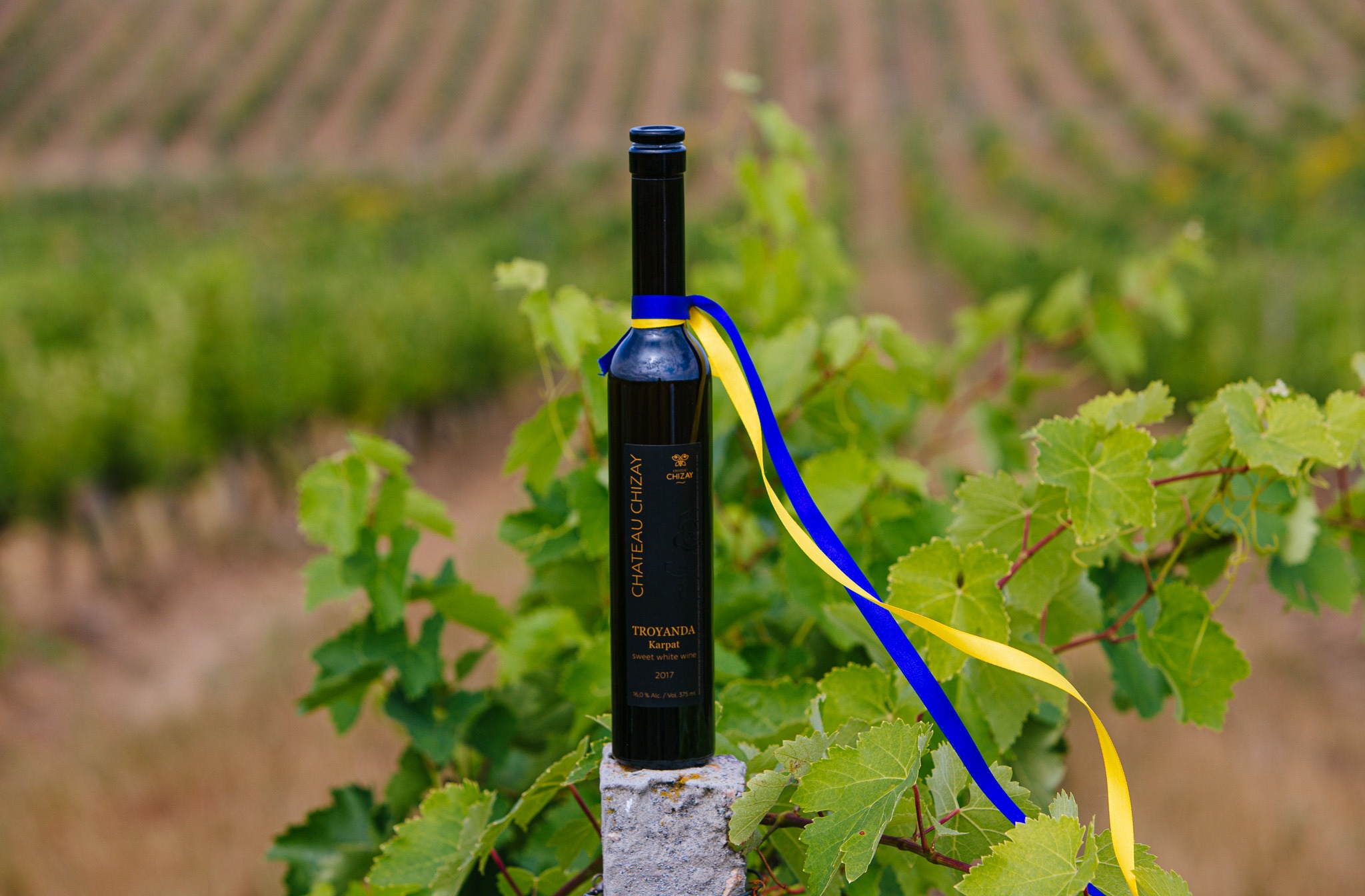 Купити онлайн десертне вино Закарпаття Троянда Карпат