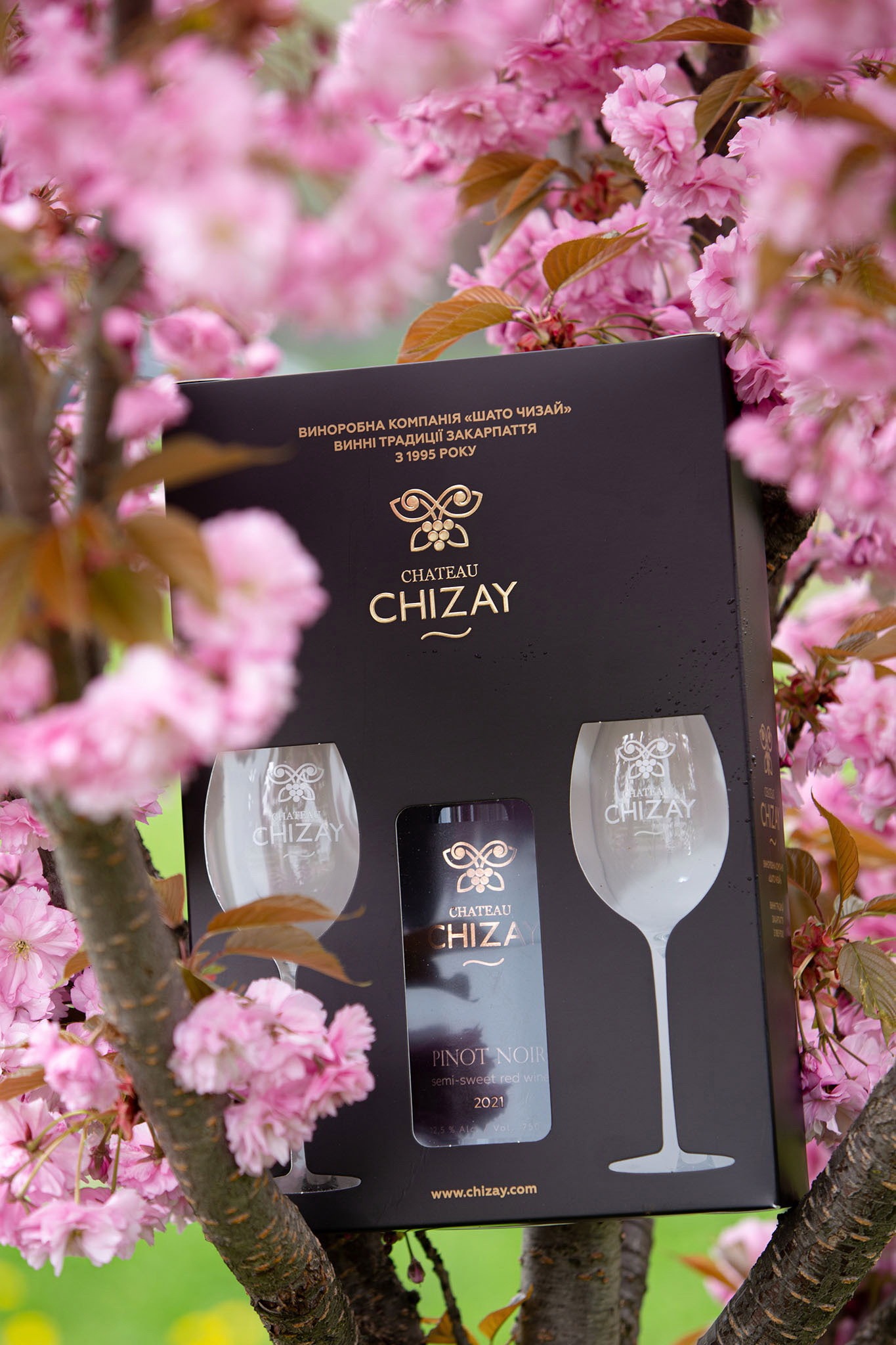 Подарунковий набір: вино Pinot Noir та келихи від Chateau Chizay