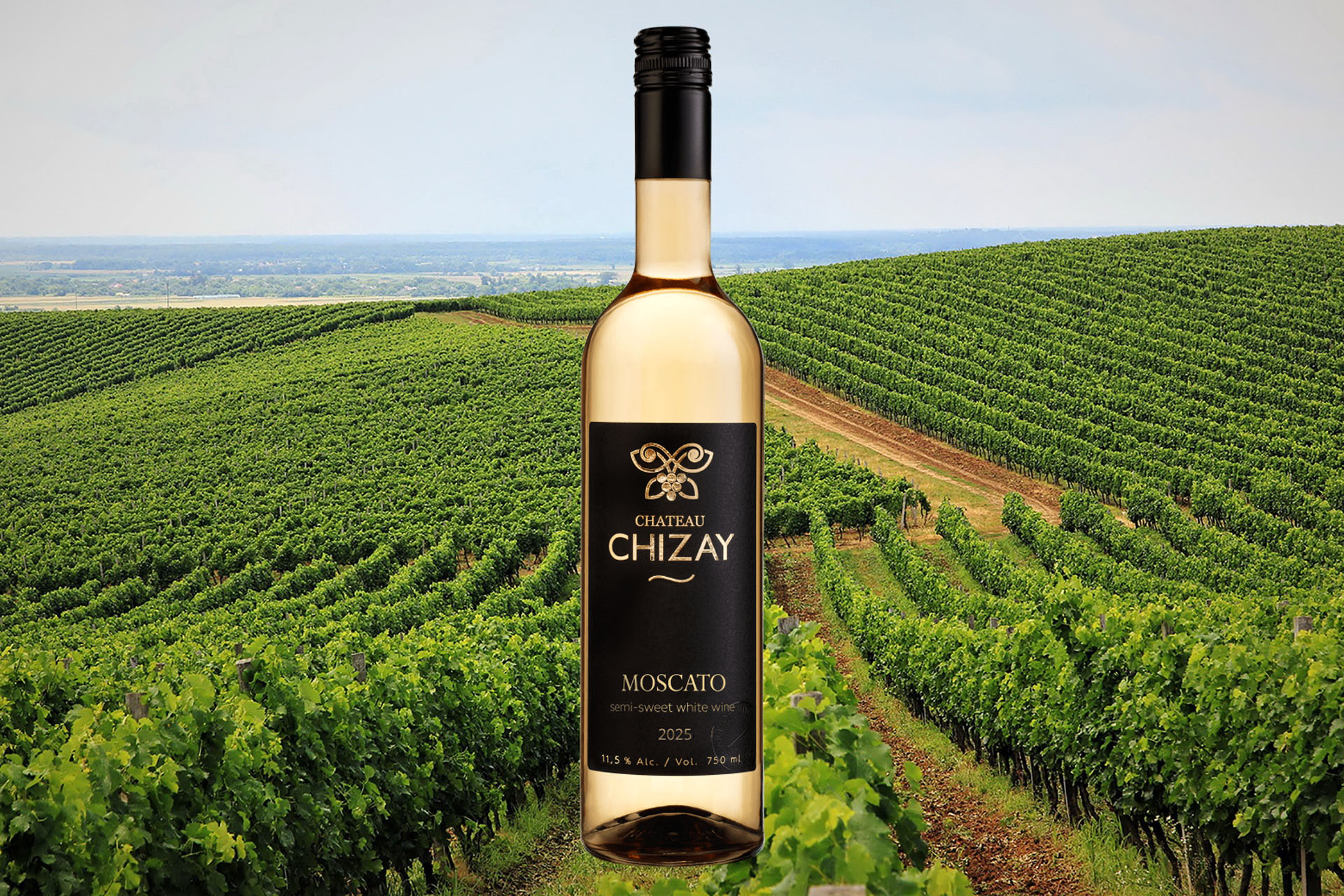 Купити онлайн напівсолодке біле вино Moscato - Chateau Chizay