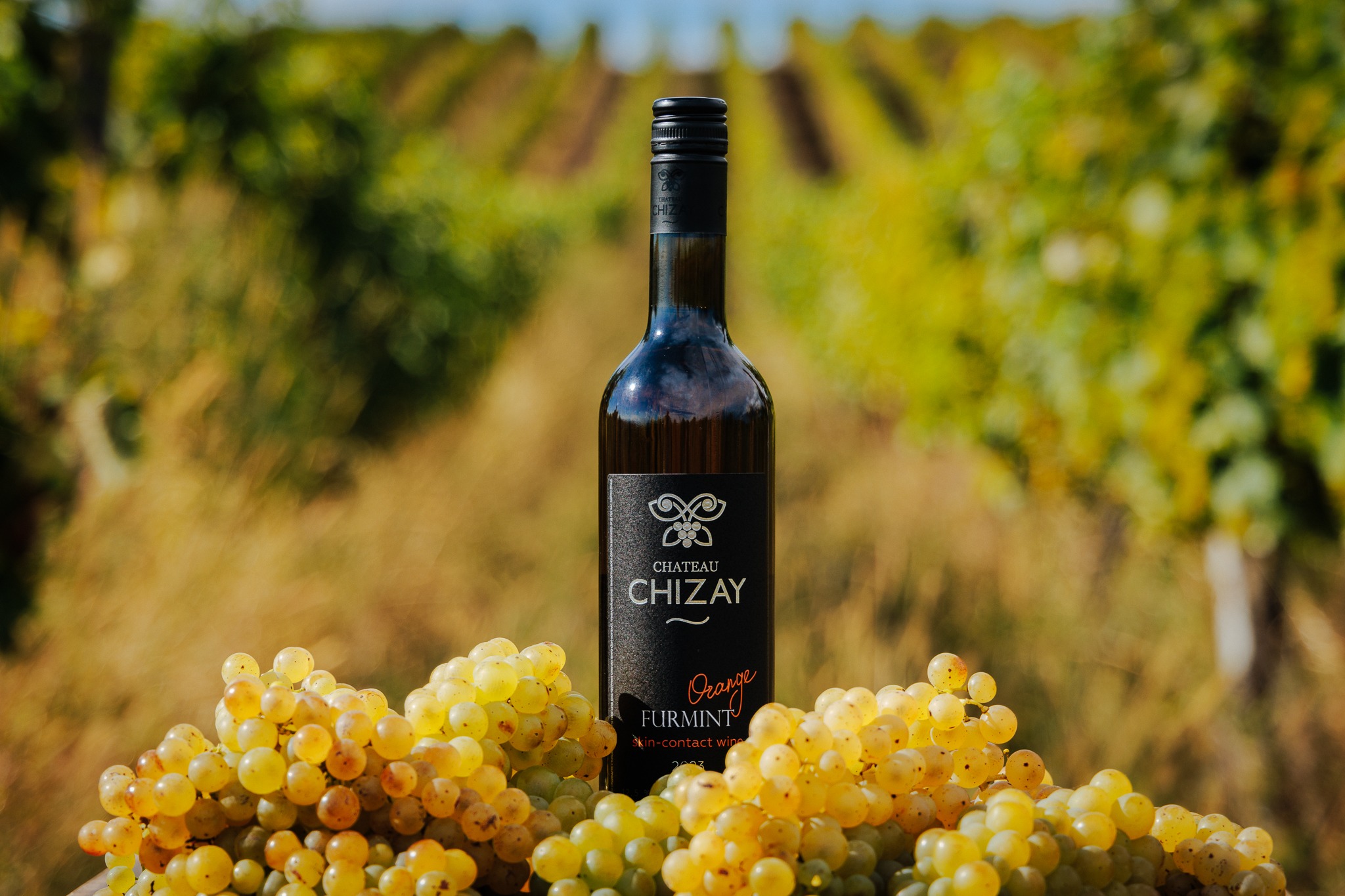 Furmint-Orange-1.jpg
