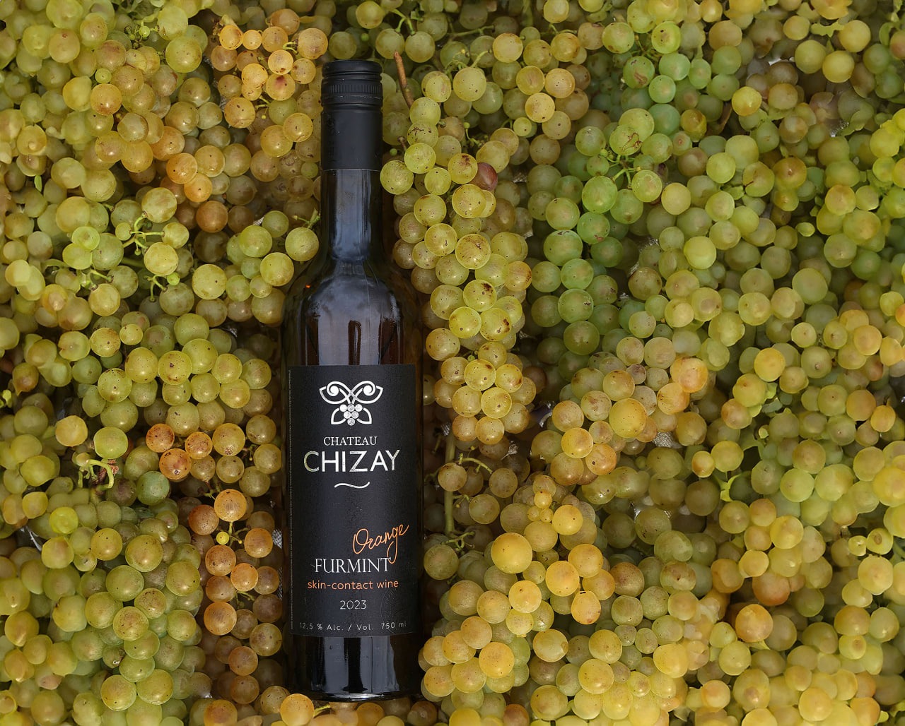Furmint Orange – замовити онлайн помаранчеве вино
